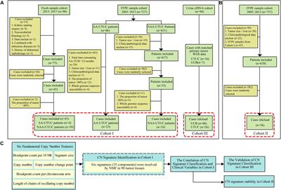 Copy Number Signatures and Clinical Outcomes in Upper Tract Urothelial Carcinoma